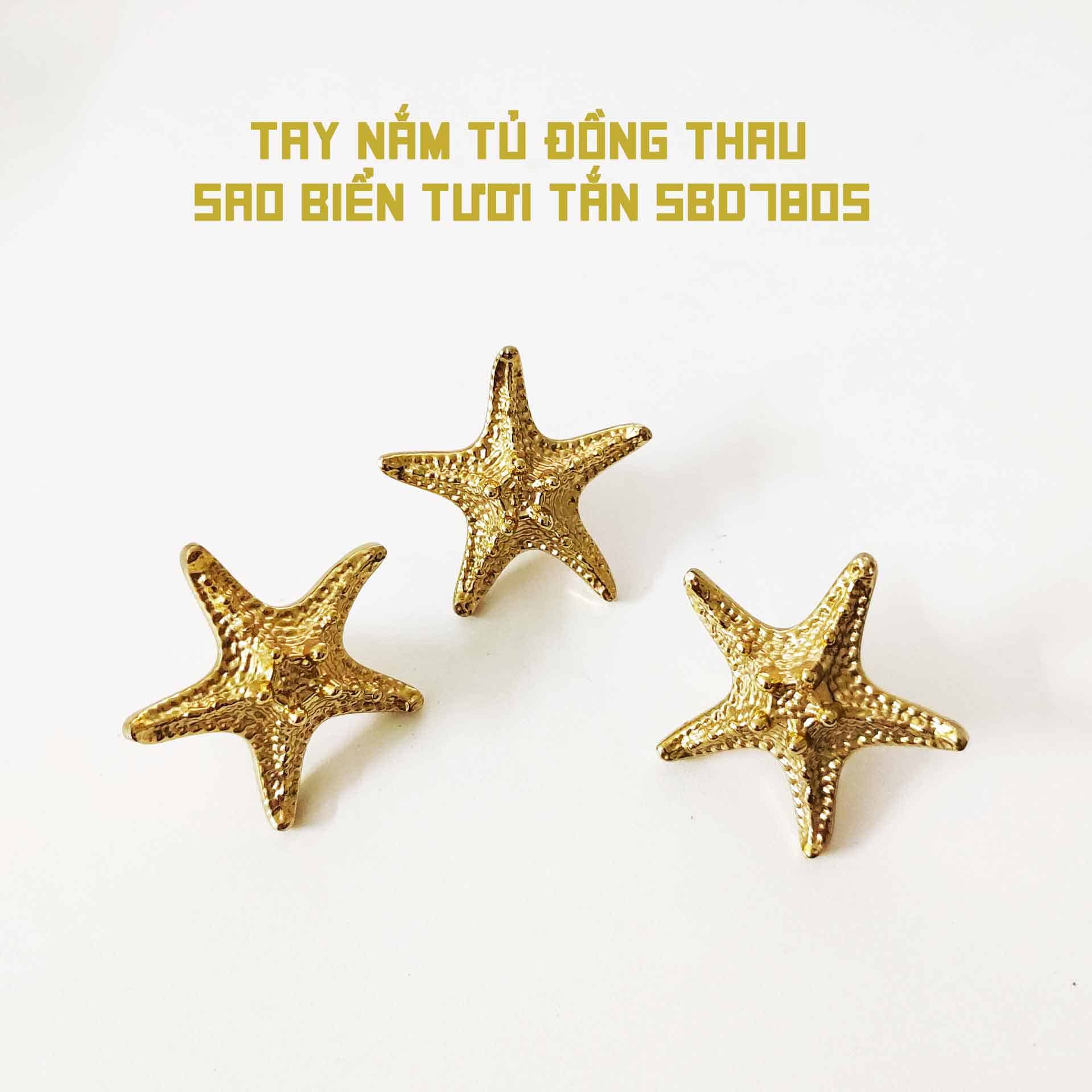 Tay nắm tủ đồng thau sao biển tươi tắn SBD7805 8