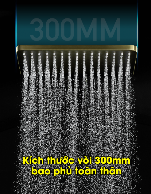 Bộ vòi sen tắm bằng đồng cao cấp kiểu Đức DL8007 10