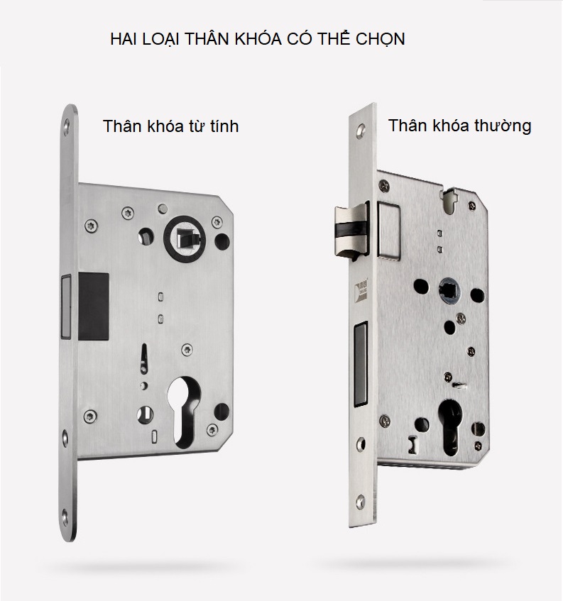 Khóa cửa phòng Inox SUS 304 có chìa DFL-335 12