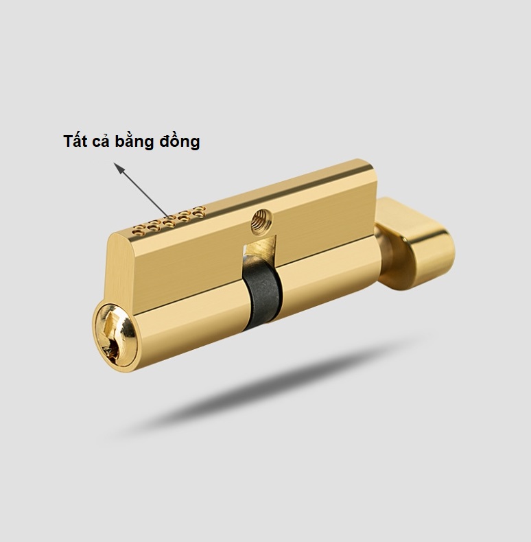 Khóa cửa bằng đồng rèn mạ vàng 24K BR20190-24KGP 19