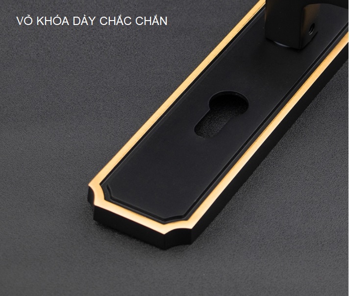 Khóa cửa phòng cổ điển bằng đồng thau BR50-65 16