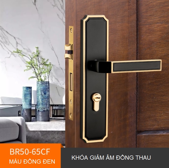 Khóa cửa phòng cổ điển bằng đồng thau BR50-65 21