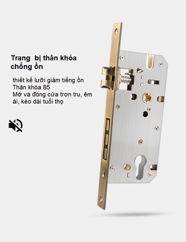 Khóa cửa cổ điển bằng đồng kiểu Mỹ BR28-56 24