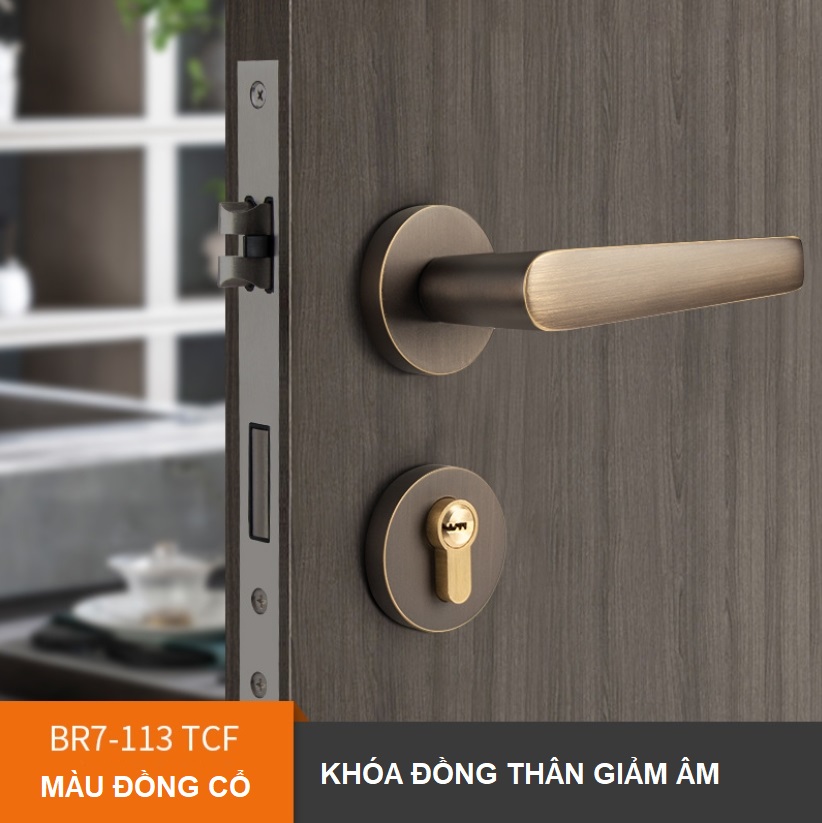 Khóa cửa phòng phân thể bằng đồng BR7-113 10