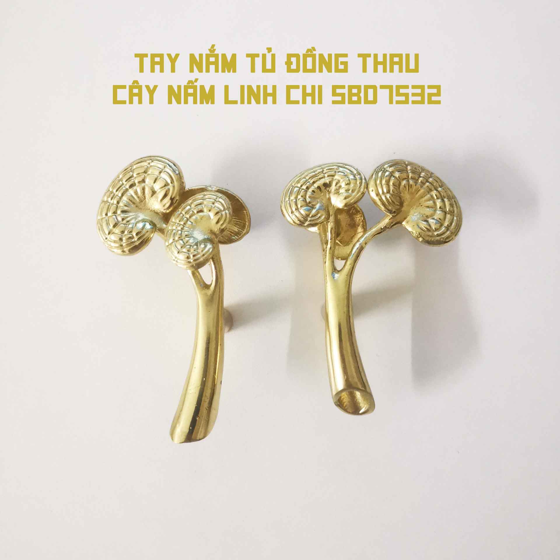 Tay nắm tủ đồng thau cây nấm linh chi SBD7532 8